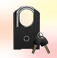 Padlock Series